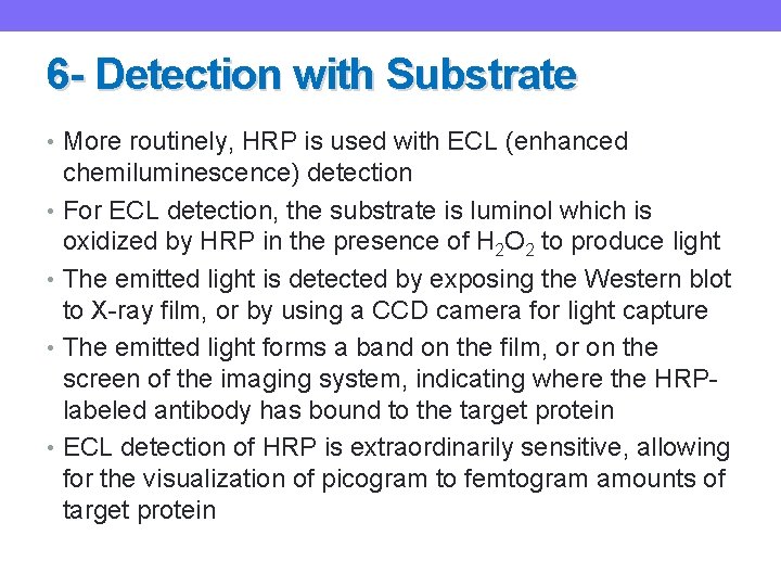 6 - Detection with Substrate • More routinely, HRP is used with ECL (enhanced