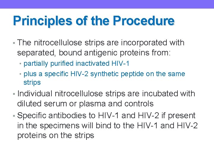 Principles of the Procedure • The nitrocellulose strips are incorporated with separated, bound antigenic
