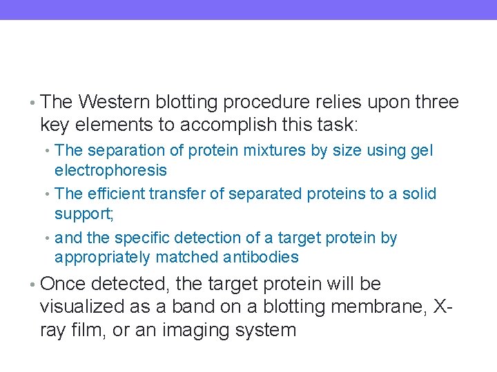  • The Western blotting procedure relies upon three key elements to accomplish this