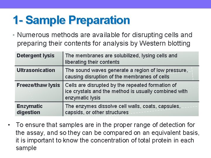 1 - Sample Preparation • Numerous methods are available for disrupting cells and preparing
