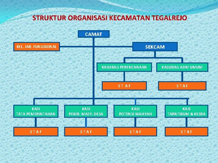 STRUKTUR ORGANISASI KECAMATAN TEGALREJO CAMAT SEKCAM KEL. JAB. FUNGSIONAL KASUBAG PERENCANAAN KASUBAG ADM UMUM