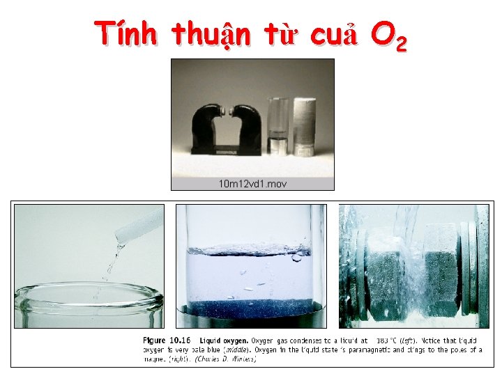 Tính thuận từ cuả O 2 