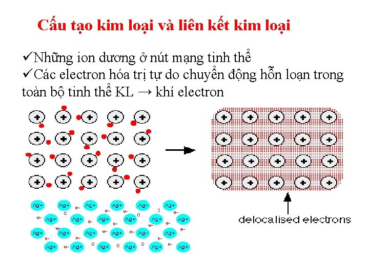 Cấu tạo kim loại và liên kết kim loại üNhững ion dương ở nút