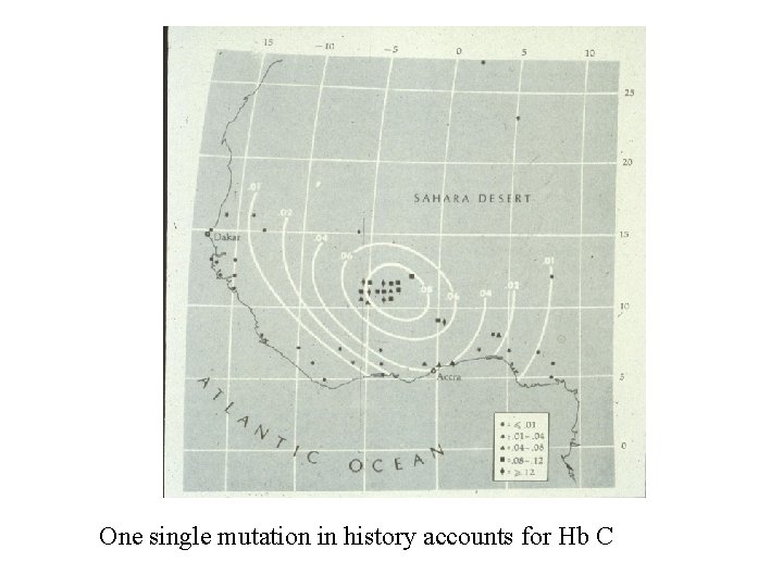 One single mutation in history accounts for Hb C 