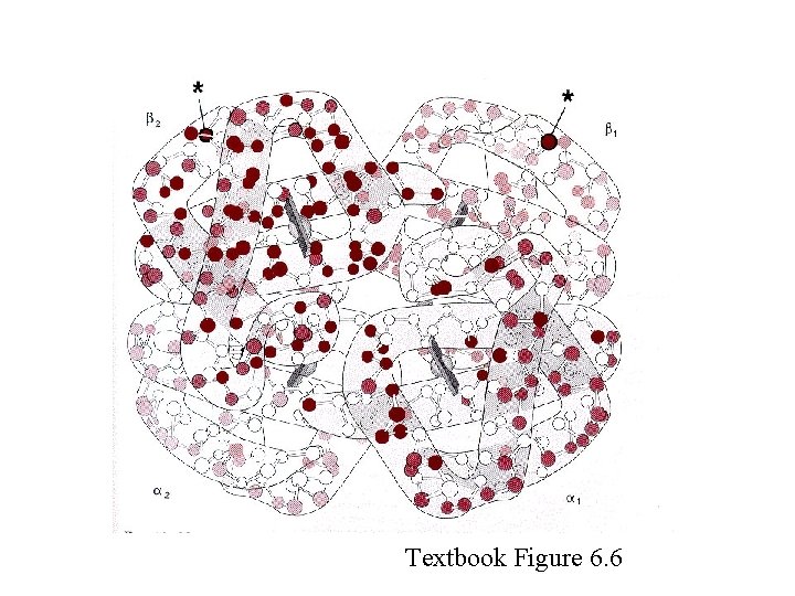 Textbook Figure 6. 6 