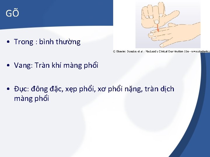 GÕ • Trong : bình thường • Vang: Tràn khí màng phổi • Đục: