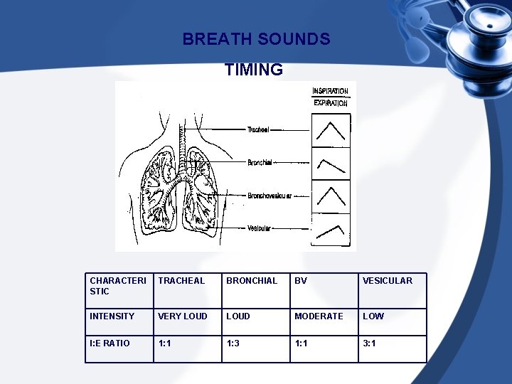 BREATH SOUNDS TIMING CHARACTERI STIC TRACHEAL BRONCHIAL BV VESICULAR INTENSITY VERY LOUD MODERATE LOW