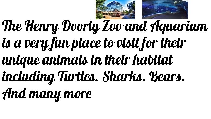 The Henry Doorly Zoo and Aquarium is a very fun place to visit for