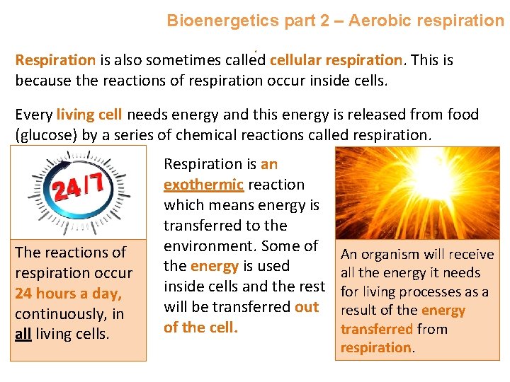 Bioenergetics part 2 – Aerobic respiration. Respiration is also sometimes called cellular respiration. This