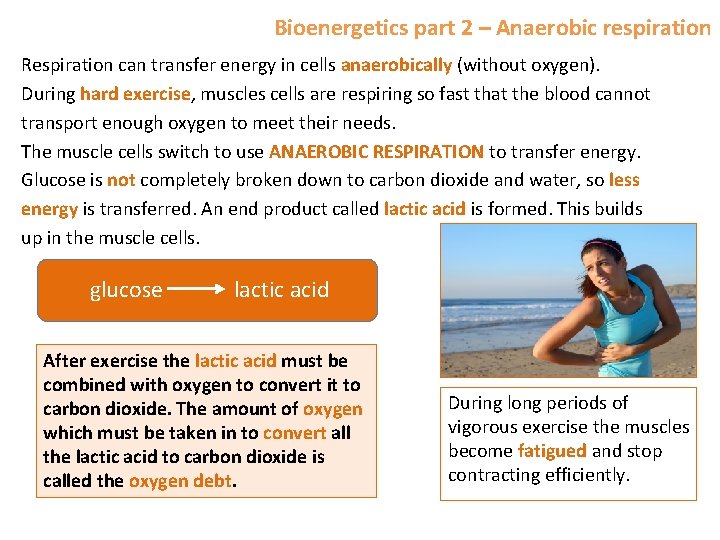 Bioenergetics part 2 – Anaerobic respiration Respiration can transfer energy in cells anaerobically (without