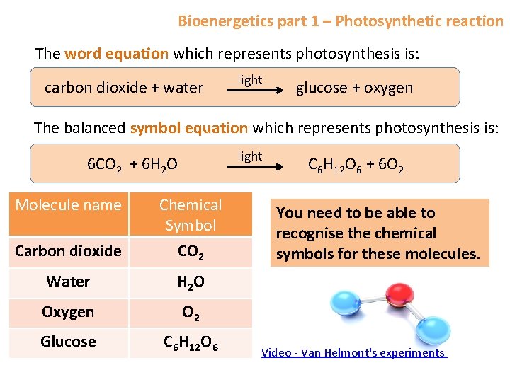 Bioenergetics part 1 – Photosynthetic reaction The word equation which represents photosynthesis is: carbon