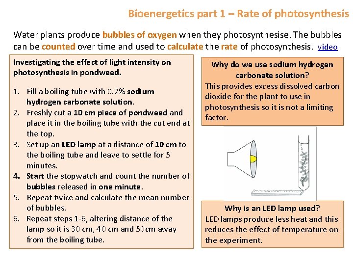 Bioenergetics part 1 – Rate of photosynthesis Water plants produce bubbles of oxygen when