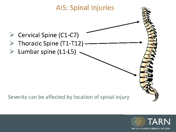 AIS: Spinal Injuries Ø Cervical Spine (C 1 -C 7) Ø Thoracic Spine (T