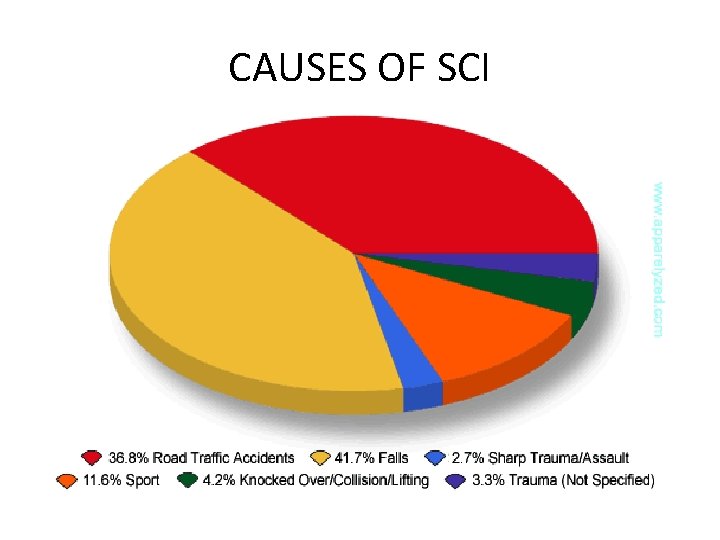 CAUSES OF SCI 