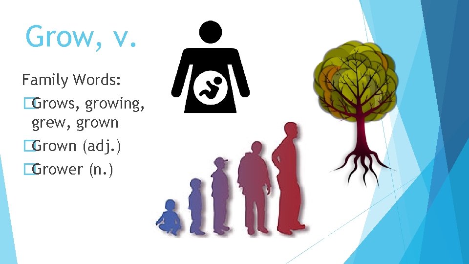 Grow, v. Family Words: �Grows, growing, grew, grown �Grown (adj. ) �Grower (n. )