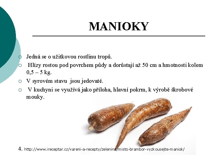 MANIOKY ¡ ¡ Jedná se o užitkovou rostlinu tropů. Hlízy rostou pod povrchem půdy
