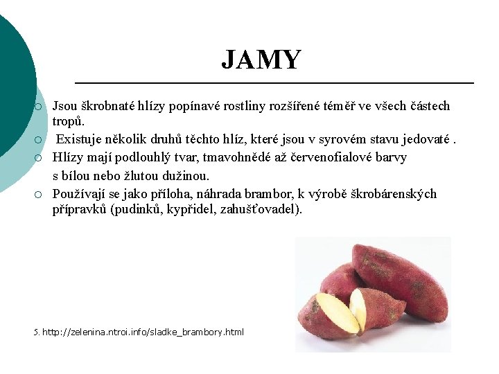 JAMY ¡ ¡ Jsou škrobnaté hlízy popínavé rostliny rozšířené téměř ve všech částech tropů.