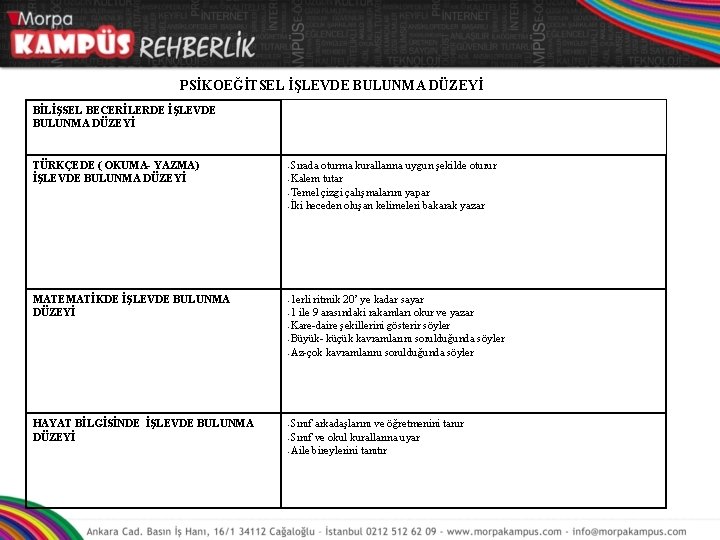 PSİKOEĞİTSEL İŞLEVDE BULUNMA DÜZEYİ BİLİŞSEL BECERİLERDE İŞLEVDE BULUNMA DÜZEYİ TÜRKÇEDE ( OKUMA- YAZMA) İŞLEVDE