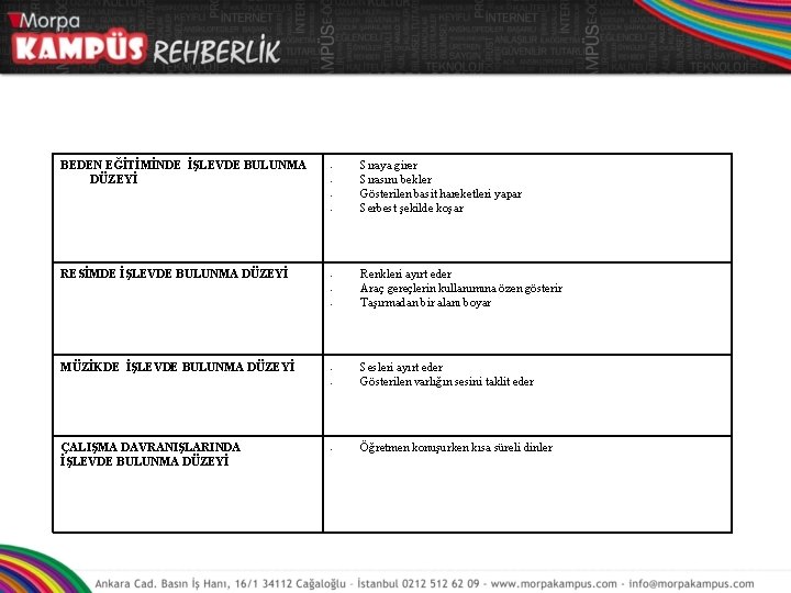 BEDEN EĞİTİMİNDE İŞLEVDE BULUNMA DÜZEYİ - RESİMDE İŞLEVDE BULUNMA DÜZEYİ - MÜZİKDE İŞLEVDE BULUNMA