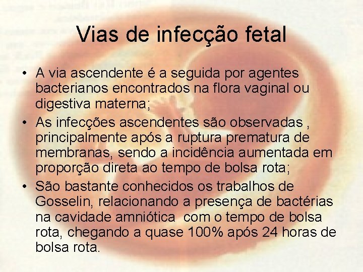 Vias de infecção fetal • A via ascendente é a seguida por agentes bacterianos