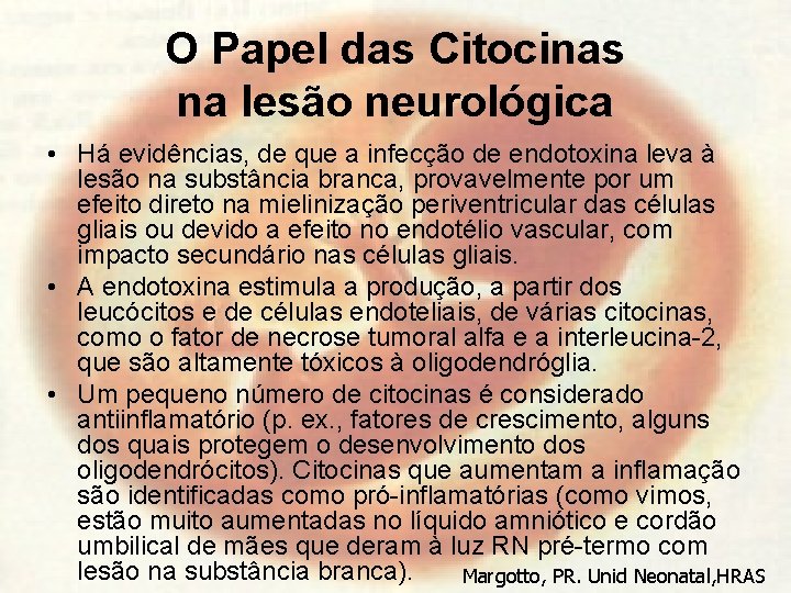 O Papel das Citocinas na lesão neurológica • Há evidências, de que a infecção