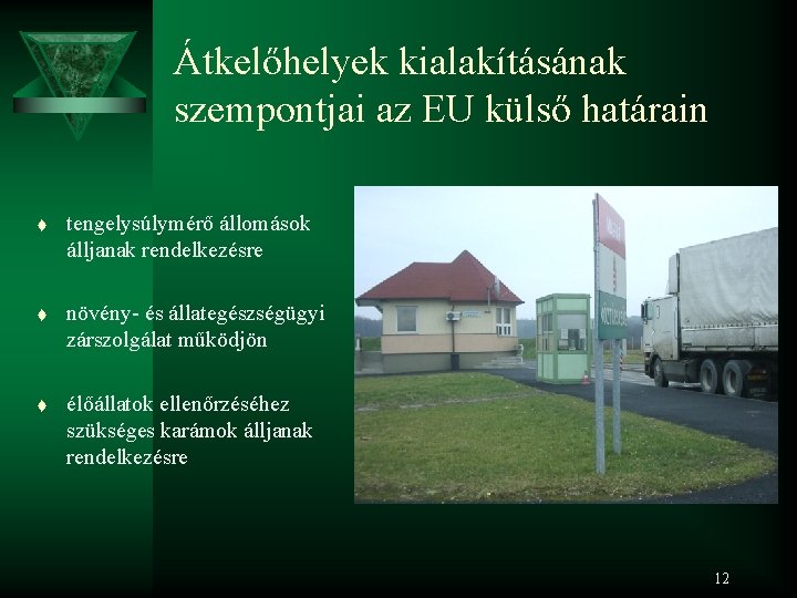 Átkelőhelyek kialakításának szempontjai az EU külső határain t tengelysúlymérő állomások álljanak rendelkezésre t növény-