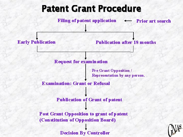 Patent Grant Procedure Filing of patent application Early Publication Prior art search Publication after