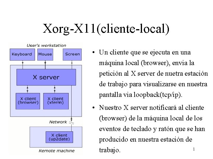 Xorg-X 11(cliente-local) • Un cliente que se ejecuta en una máquina local (browser), envia