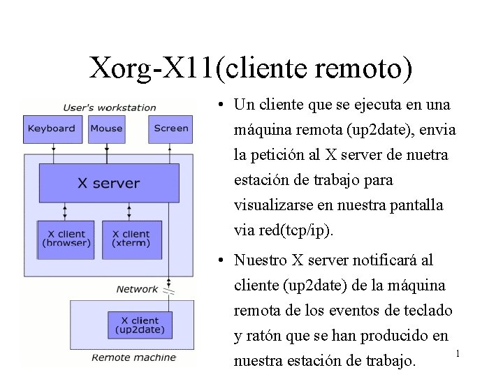 Xorg-X 11(cliente remoto) • Un cliente que se ejecuta en una máquina remota (up