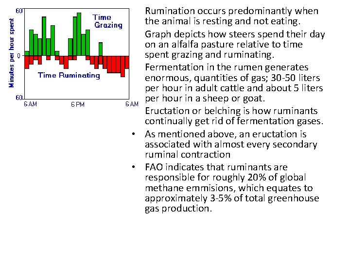  • Rumination occurs predominantly when the animal is resting and not eating. •