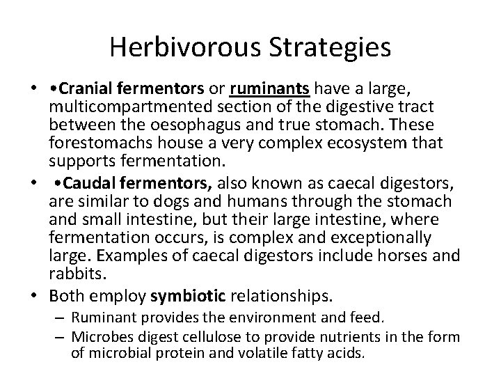 Herbivorous Strategies • • Cranial fermentors or ruminants have a large, multicompartmented section of