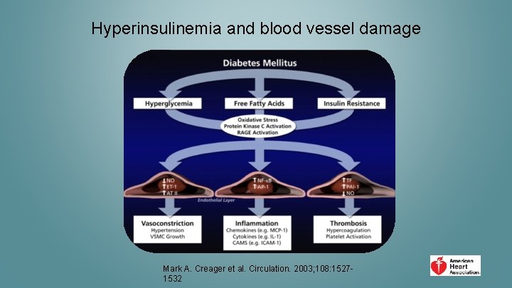 Hyperinsulinemia and blood vessel damage Mark A. Creager et al. Circulation. 2003; 108: 15271532