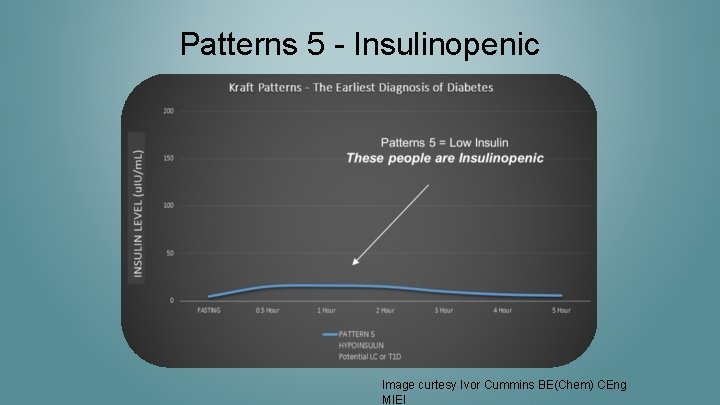 Patterns 5 - Insulinopenic Image curtesy Ivor Cummins BE(Chem) CEng MIEI 