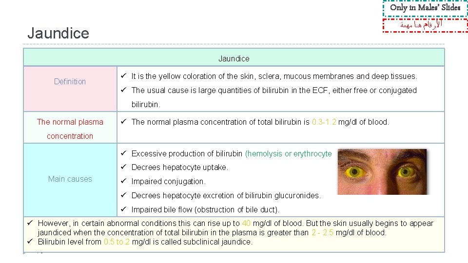 Only in Males’ Slides ﺍﻷﺮﻗﺎﻡ ﻫﻨﺎ ﻣﻬﻤﺔ Jaundice Definition ü It is the yellow