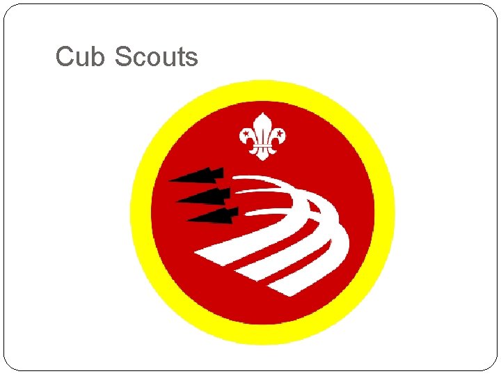 Cub Scouts 