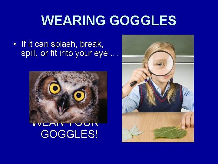 WEARING GOGGLES • If it can splash, break, spill, or fit into your eye….