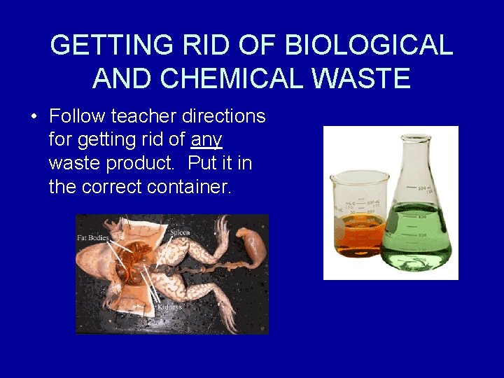 GETTING RID OF BIOLOGICAL AND CHEMICAL WASTE • Follow teacher directions for getting rid