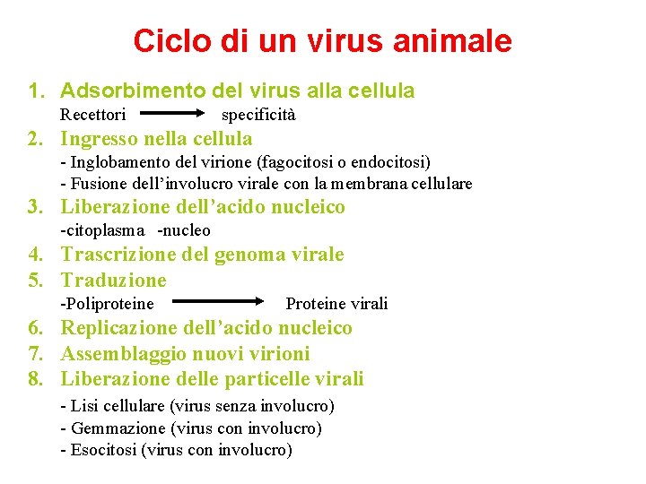 Ciclo di un virus animale 1. Adsorbimento del virus alla cellula Recettori specificità 2.