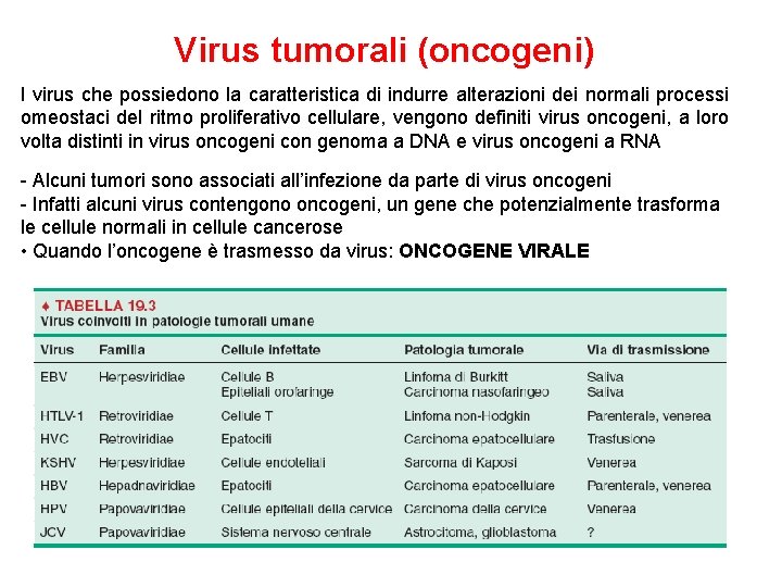 Virus tumorali (oncogeni) I virus che possiedono la caratteristica di indurre alterazioni dei normali