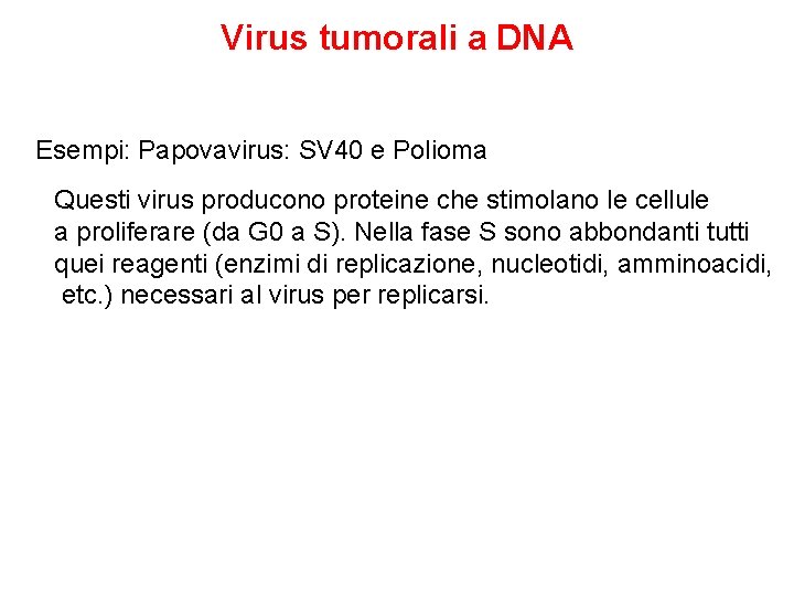 Virus tumorali a DNA Esempi: Papovavirus: SV 40 e Polioma Questi virus producono proteine