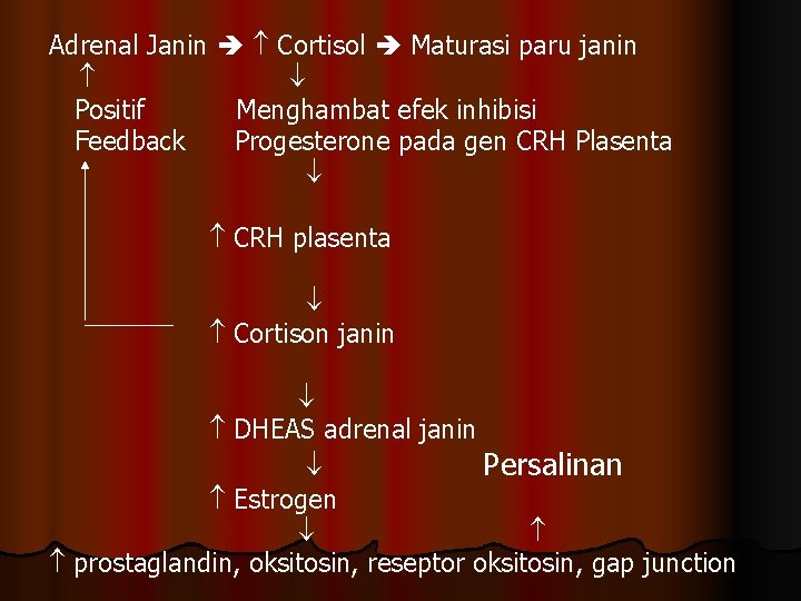 Adrenal Janin Cortisol Maturasi paru janin Positif Menghambat efek inhibisi Feedback Progesterone pada gen