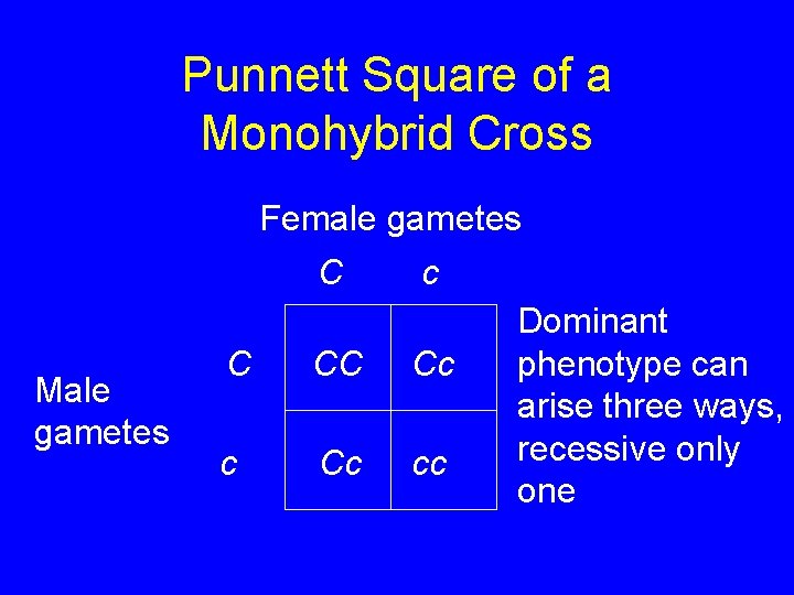 Punnett Square of a Monohybrid Cross Female gametes C Male gametes c C CC