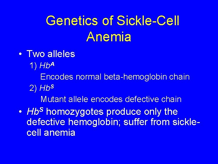 Genetics of Sickle-Cell Anemia • Two alleles 1) Hb. A Encodes normal beta-hemoglobin chain