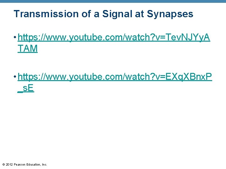 Transmission of a Signal at Synapses • https: //www. youtube. com/watch? v=Tev. NJYy. A