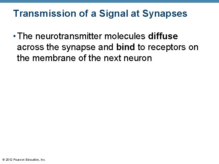 Transmission of a Signal at Synapses • The neurotransmitter molecules diffuse across the synapse
