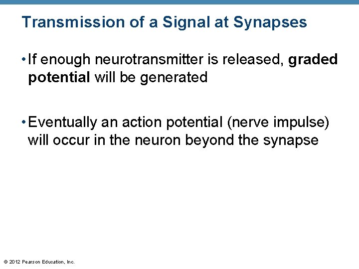 Transmission of a Signal at Synapses • If enough neurotransmitter is released, graded potential