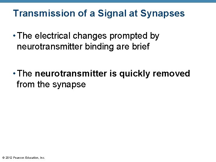Transmission of a Signal at Synapses • The electrical changes prompted by neurotransmitter binding