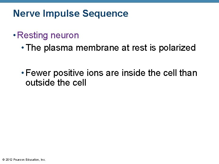 Nerve Impulse Sequence • Resting neuron • The plasma membrane at rest is polarized