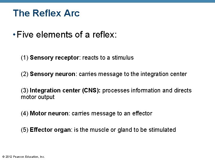 The Reflex Arc • Five elements of a reflex: (1) Sensory receptor: reacts to