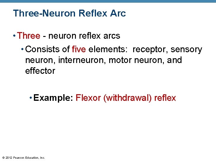 Three-Neuron Reflex Arc • Three - neuron reflex arcs • Consists of five elements: